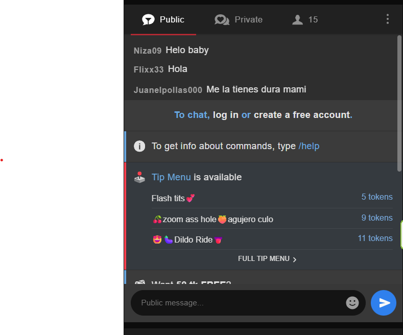 stripchat chat with models